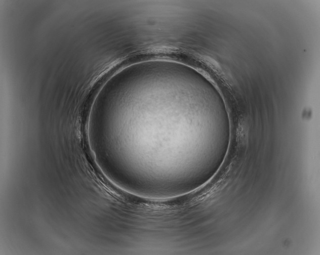 X0000095551209200712141547