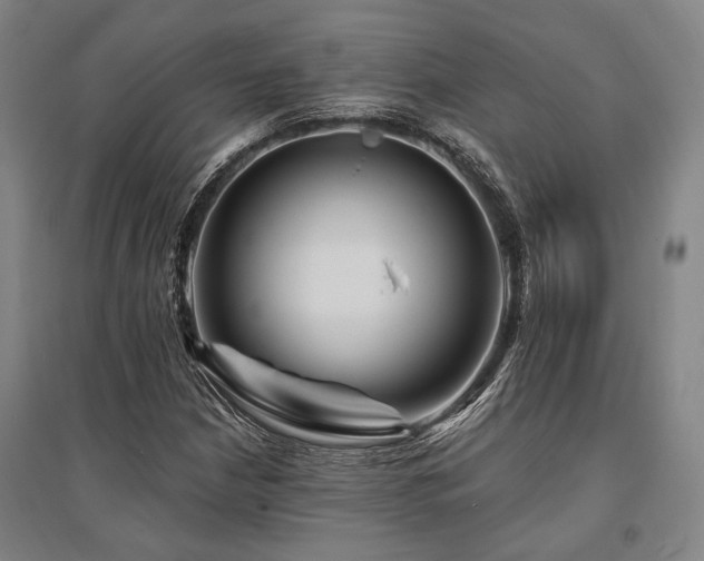 X0000095551210200712141547