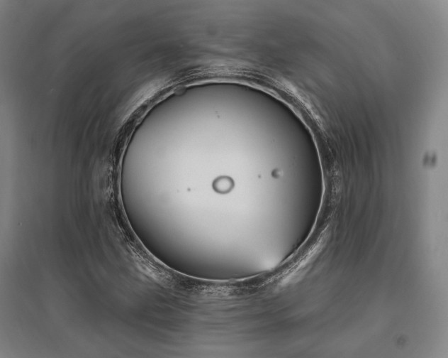X0000095551211200712141547