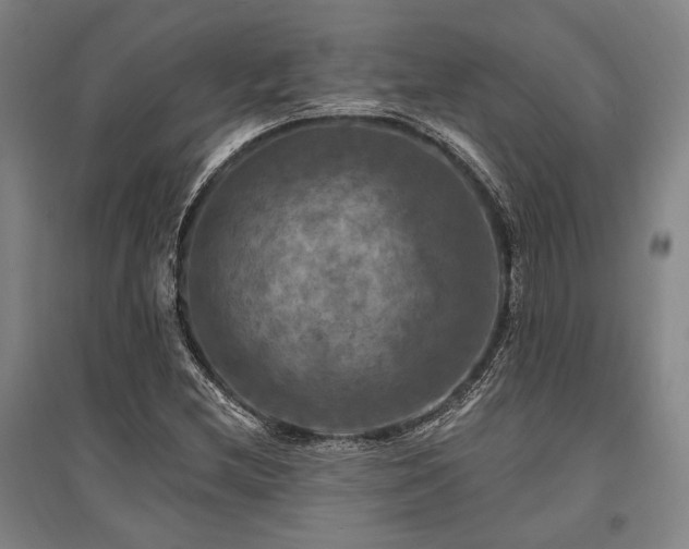 X0000095551212200712141547