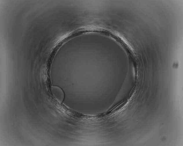 X0000095551213200712141547