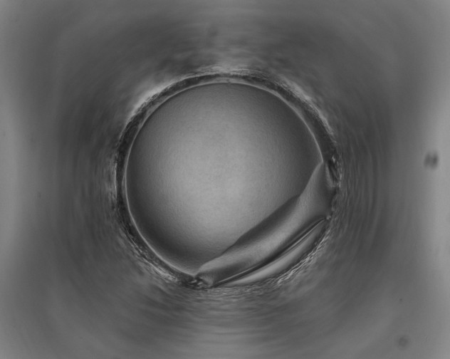 X0000095551214200712141548