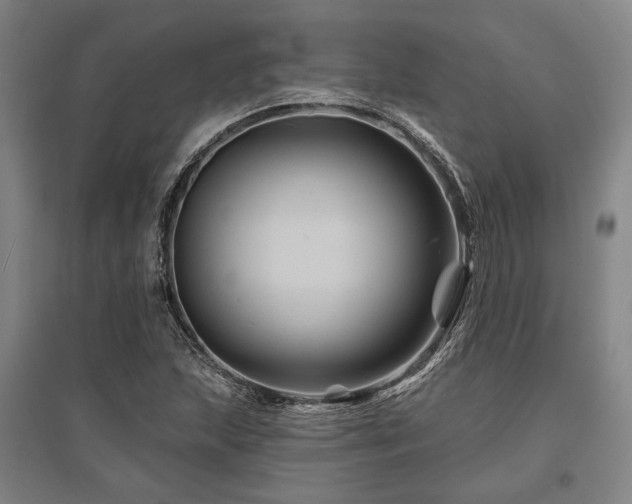 X0000095551215200712141548