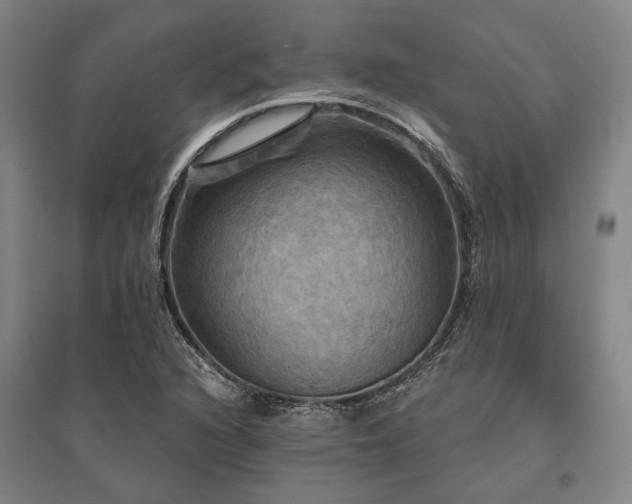 X0000095551216200712141548