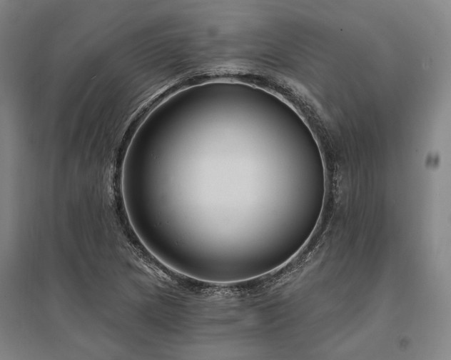 X0000095551217200712141548