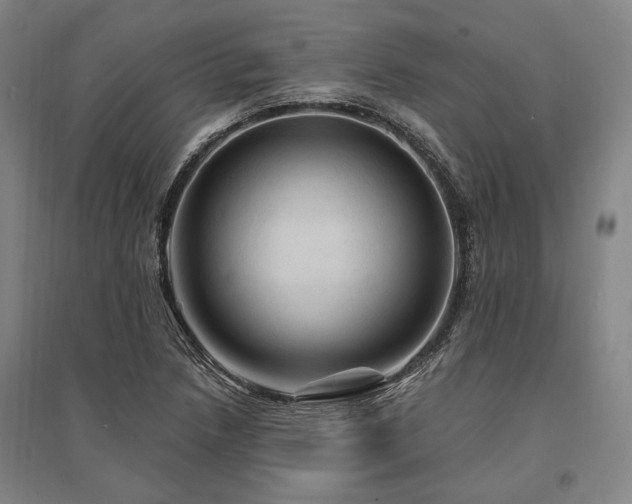 X0000095551218200712141548