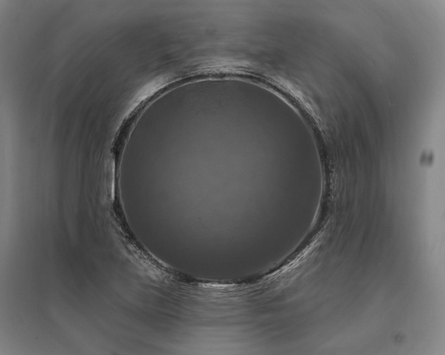 X0000095551219200712141548