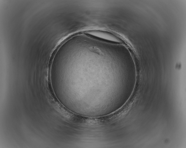 X0000095551220200712141548