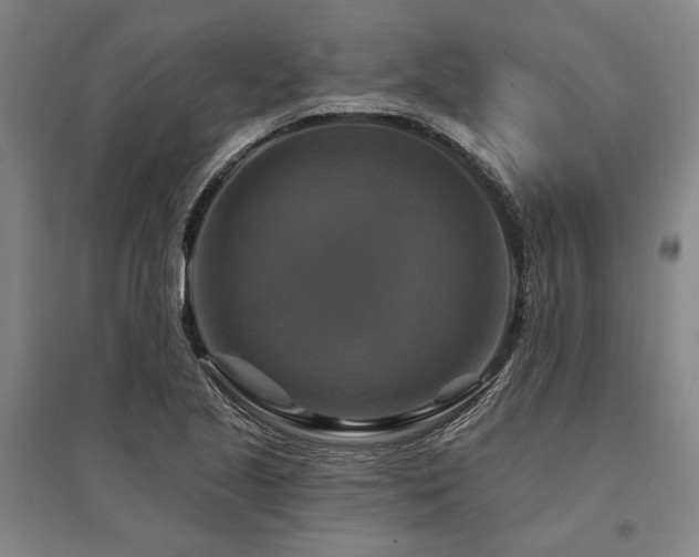 X0000095551221200712141548