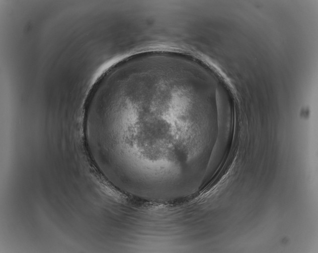 X0000095551222200712141548