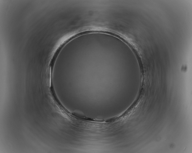 X0000095551223200712141548