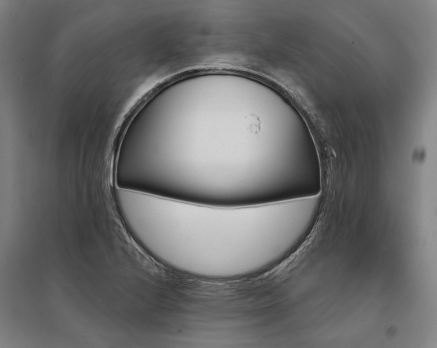 X0000095551224200712141548