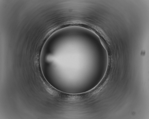 X0000095551225200712141548