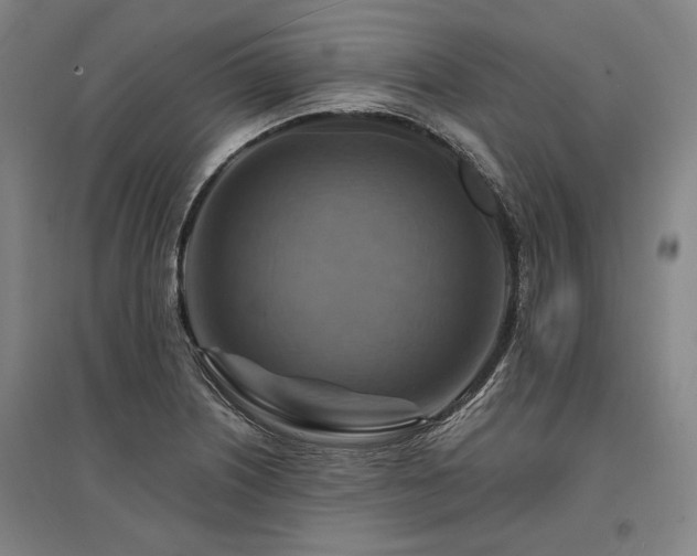 X0000095551226200712141548