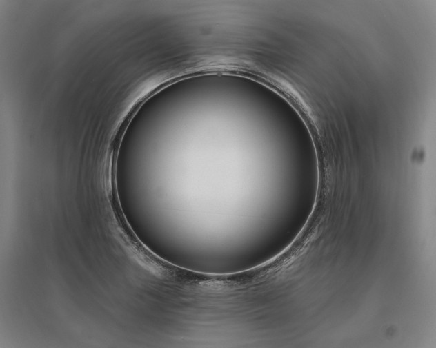 X0000095551227200712141548