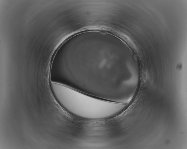 X0000095551228200712141548