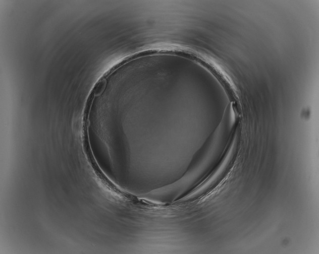 X0000095551229200712141548