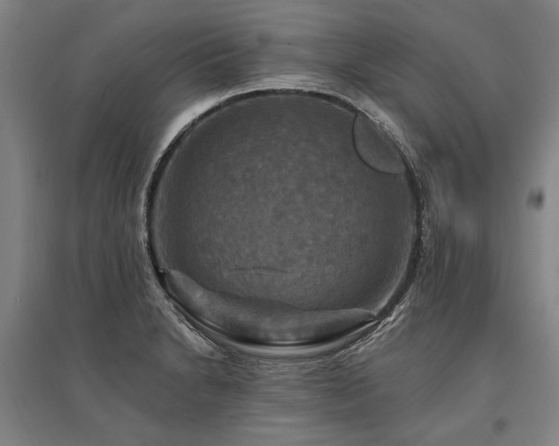 X0000095551230200712141548