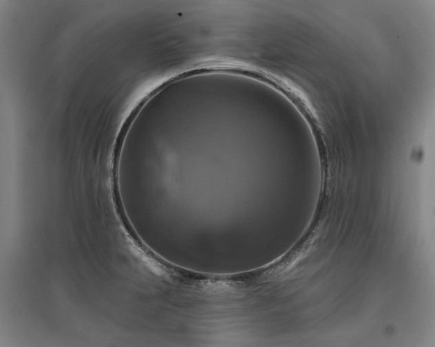 X0000095551231200712141548