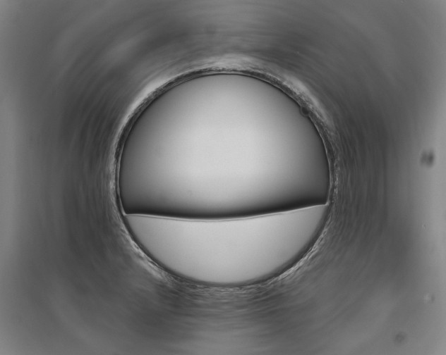 X0000095551232200712141548