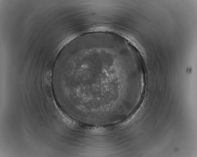 X0000095551233200712141548
