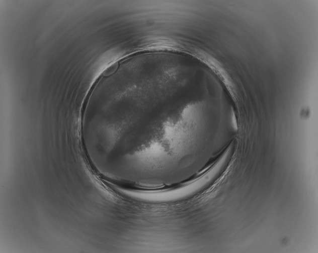 X0000095551234200712141548