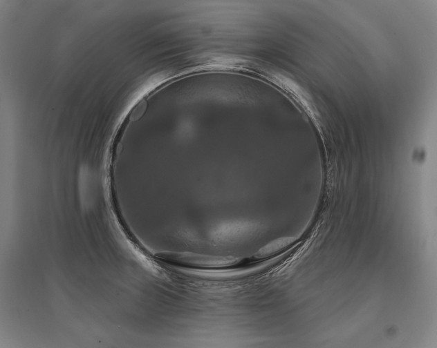 X0000095551235200712141548