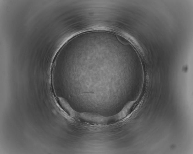 X0000095551236200712141548