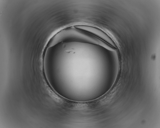 X0000095551238200712141548