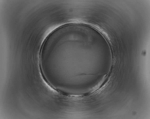 X0000095551239200712141548