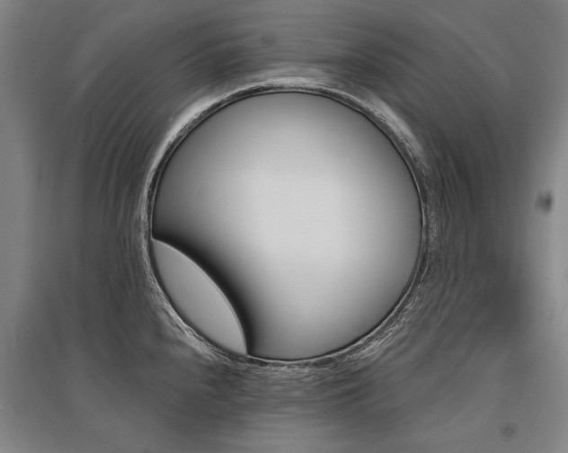 X0000095551240200712141548