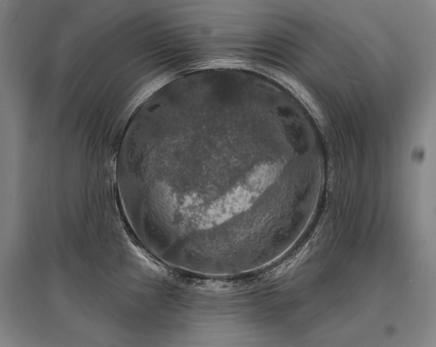 X0000095551241200712141548