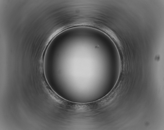 X0000095551242200712141548
