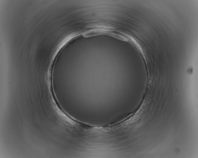 X0000095551243200712141548