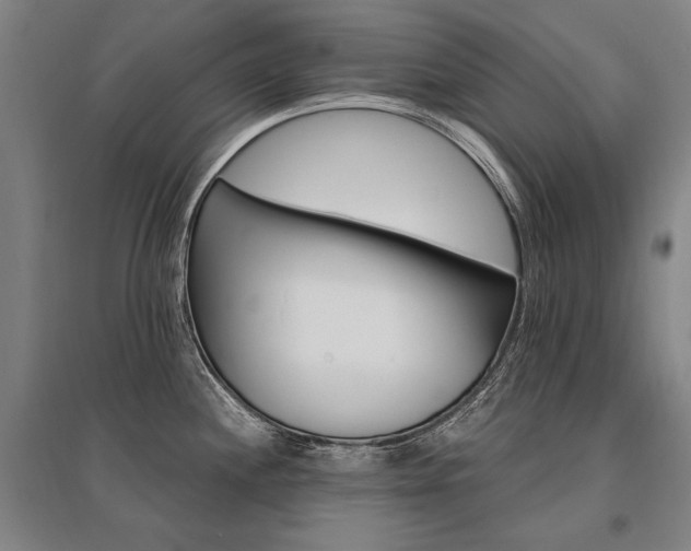 X0000095551244200712141548