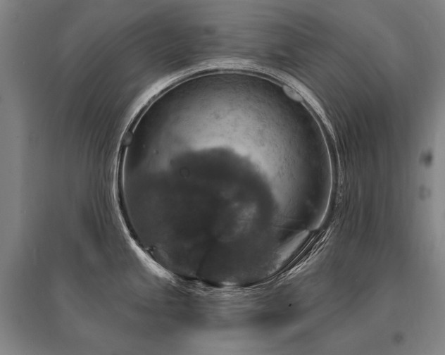 X0000095551245200712141548