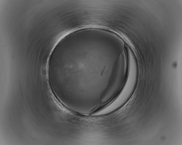 X0000095551246200712141548