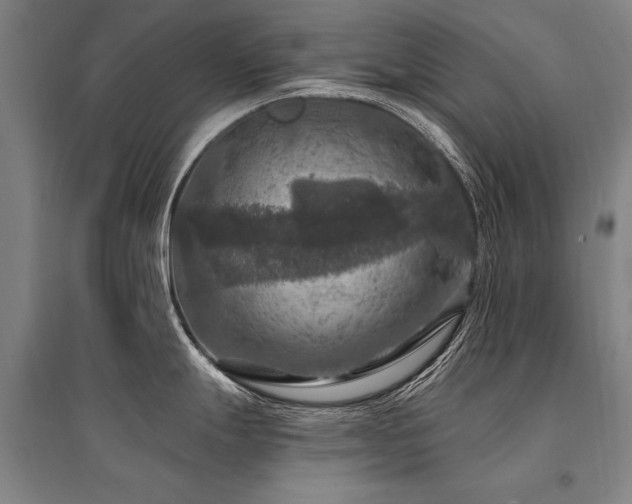 X0000095551247200712141548