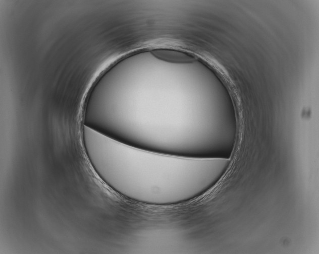 X0000095551248200712141548
