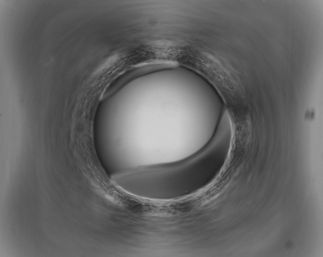 X0000095551249200712141547
