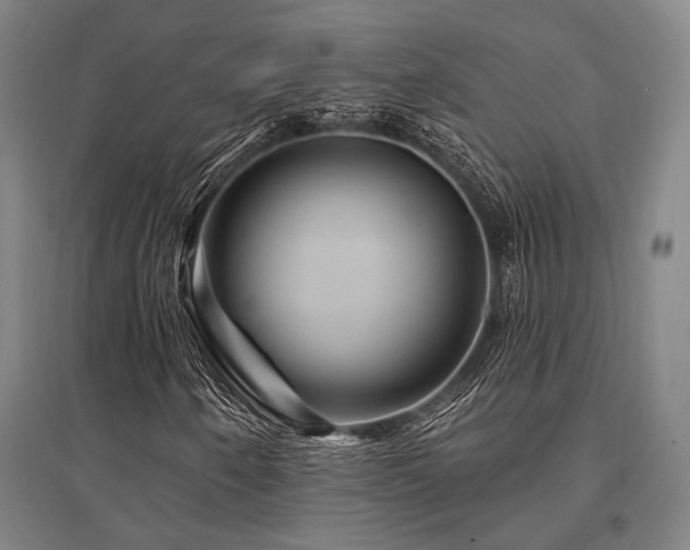 X0000095551250200712141547