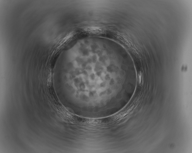X0000095551251200712141547