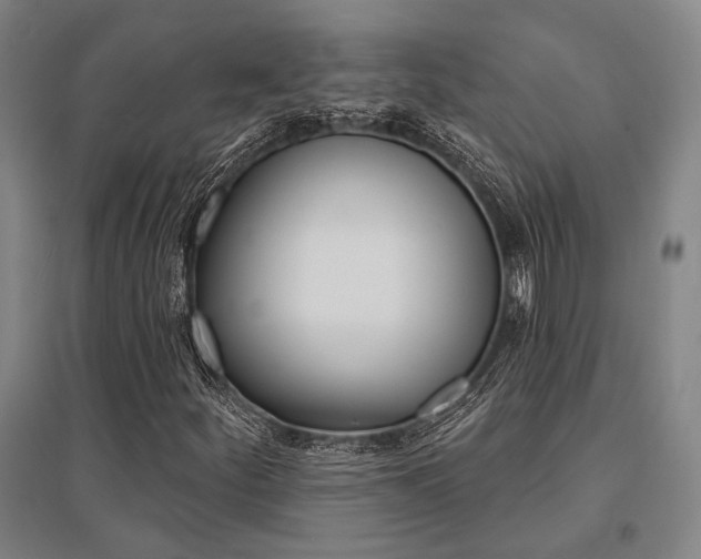 X0000095551252200712141547