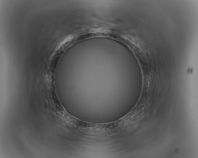 X0000095551254200712141547