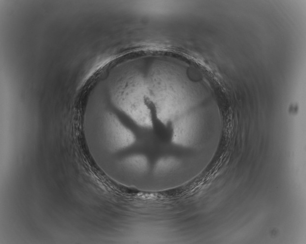 X0000095551255200712141547