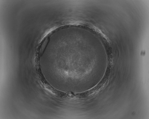 X0000095551256200712141547
