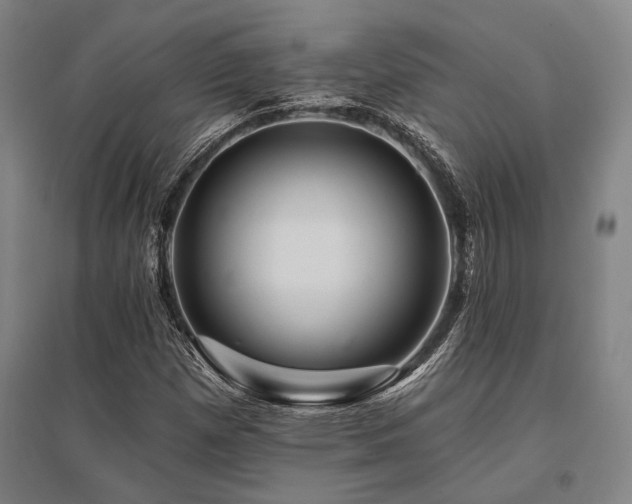X0000095551257200712141547