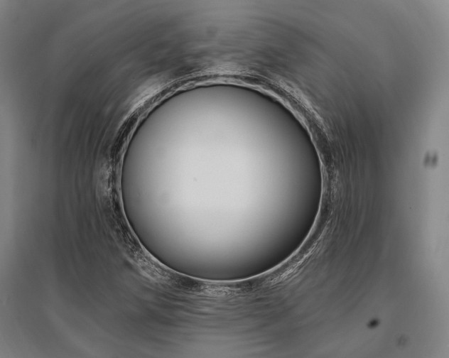 X0000095551258200712141547