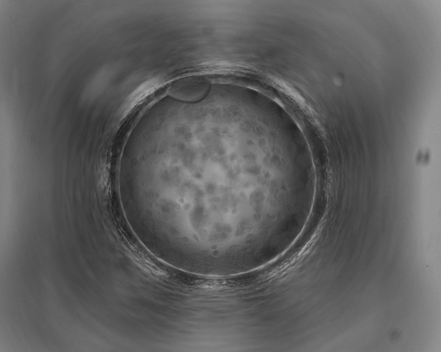 X0000095551259200712141547