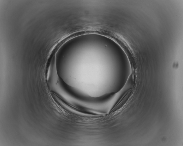 X0000095551260200712141547